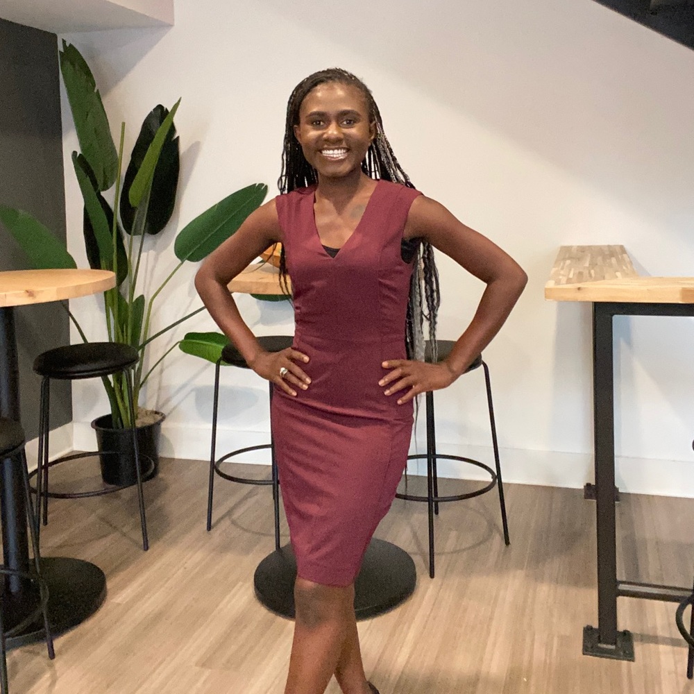 Burgundy Fitted V-Neck Dress